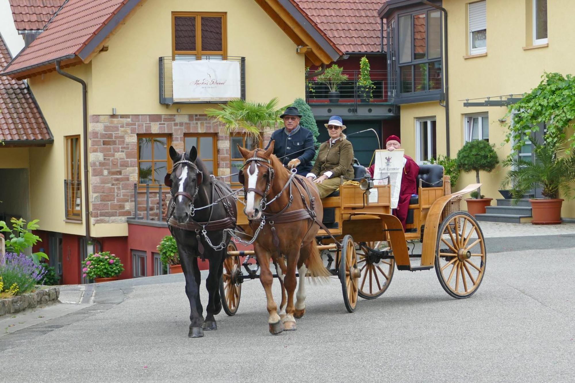 Hotel Garni Sebastian Kirrweiler  Extérieur photo